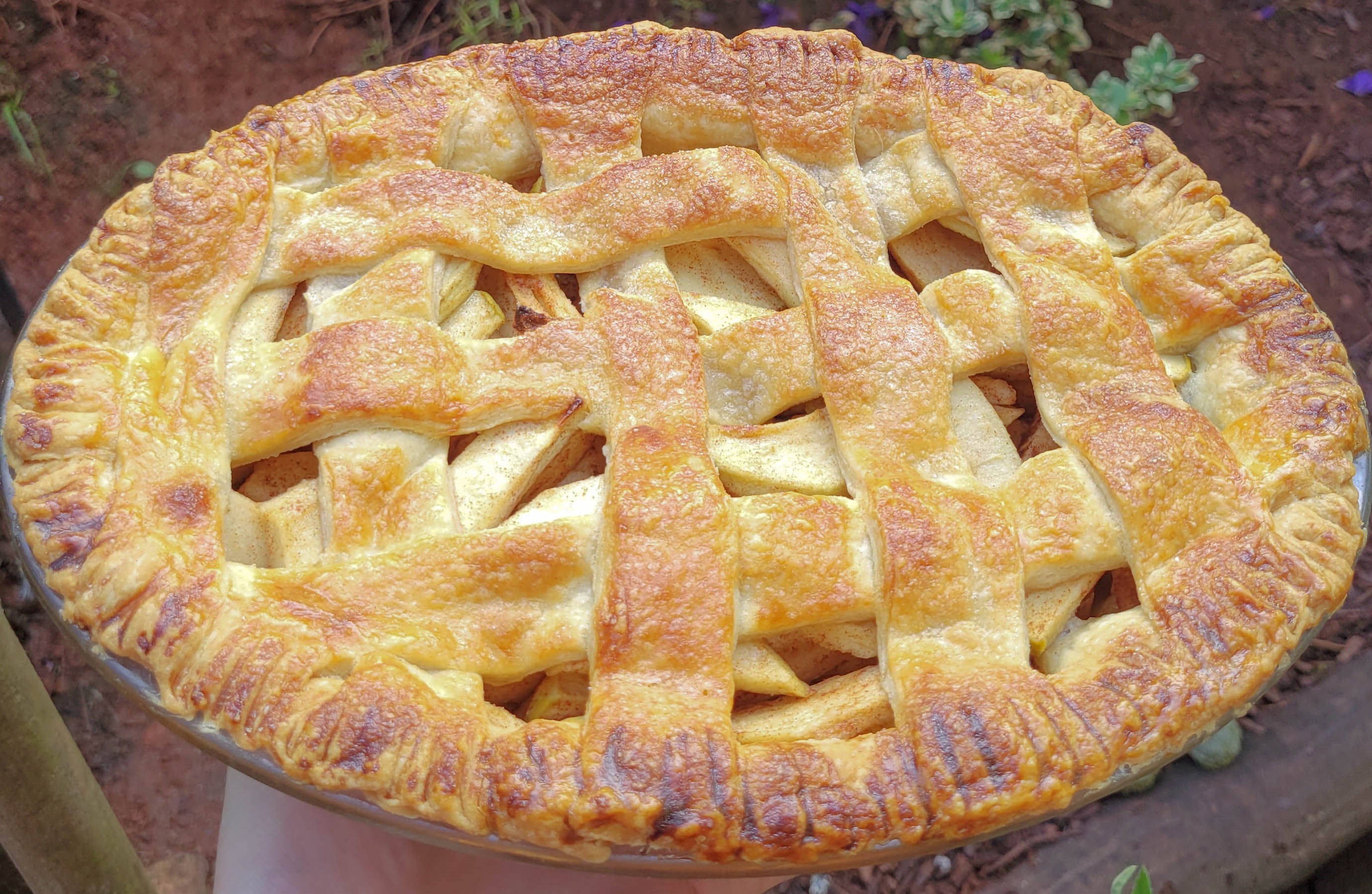 Apple pie picture.